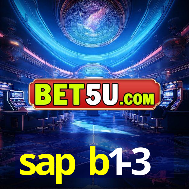 sap b1